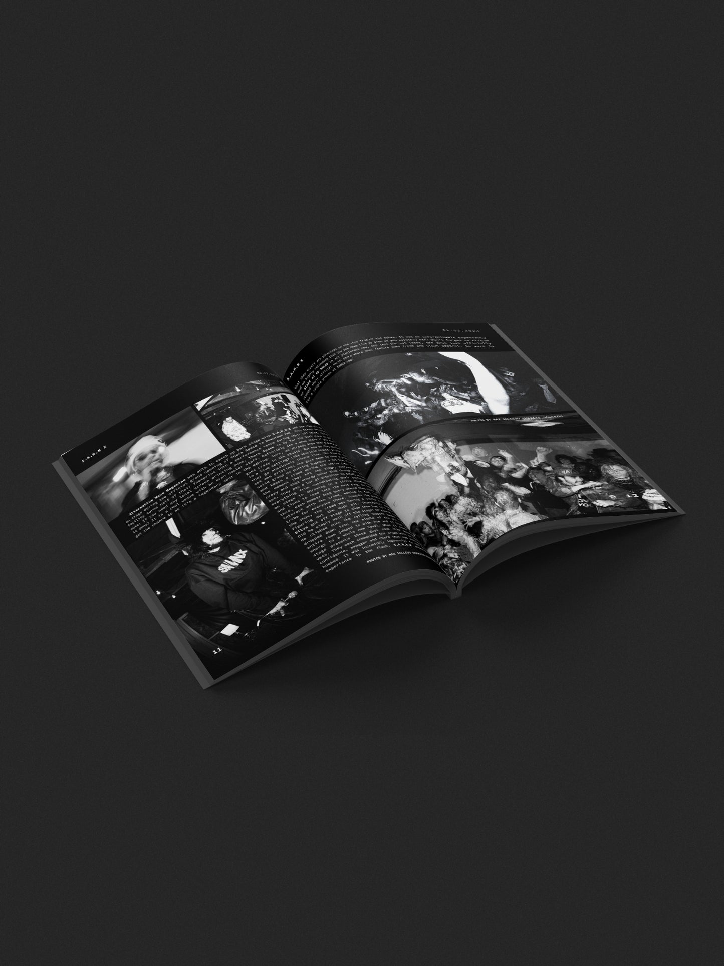 Phoenix Rising Special Edition Print