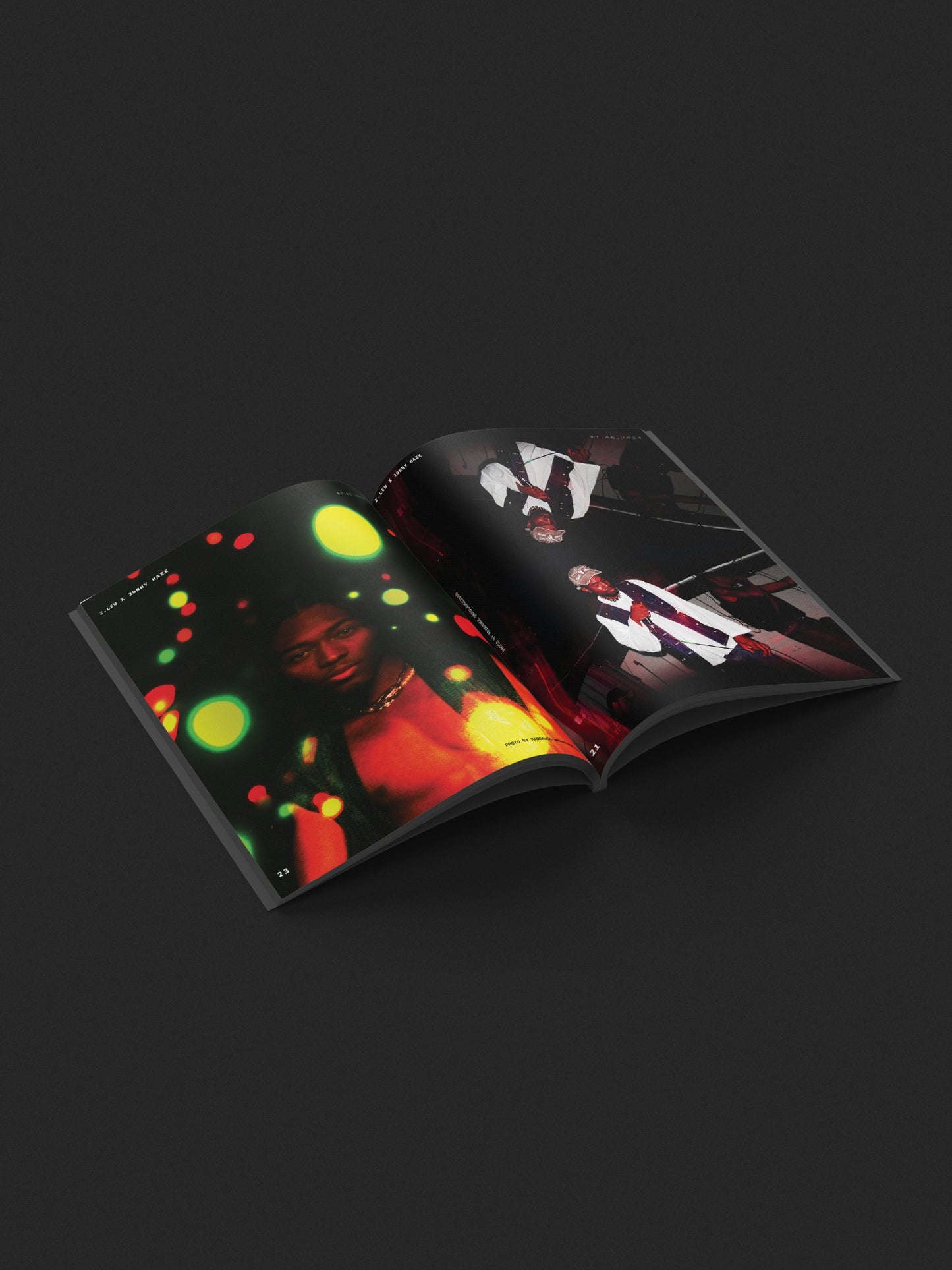 Phoenix Rising Special Edition Print